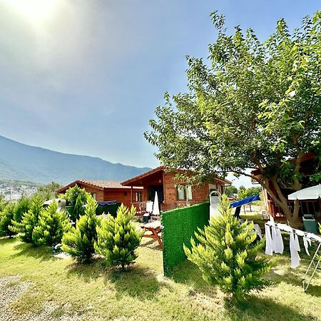 Hurmalik Apart Evleri-Very Close To The Sea Large Garden Bungalow With Barbecue And Swing Karaoz Luaran gambar
