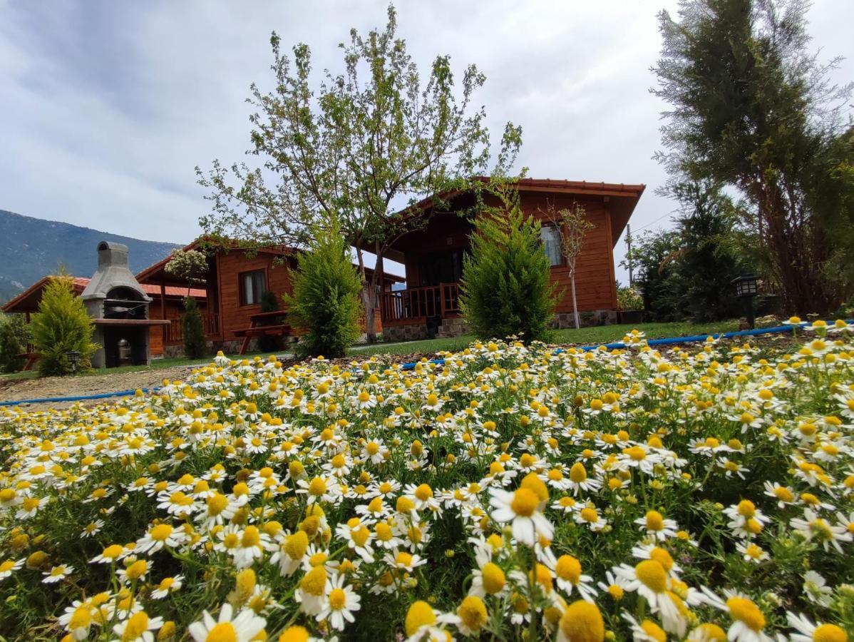 Hurmalik Apart Evleri-Very Close To The Sea Large Garden Bungalow With Barbecue And Swing Karaoz Luaran gambar